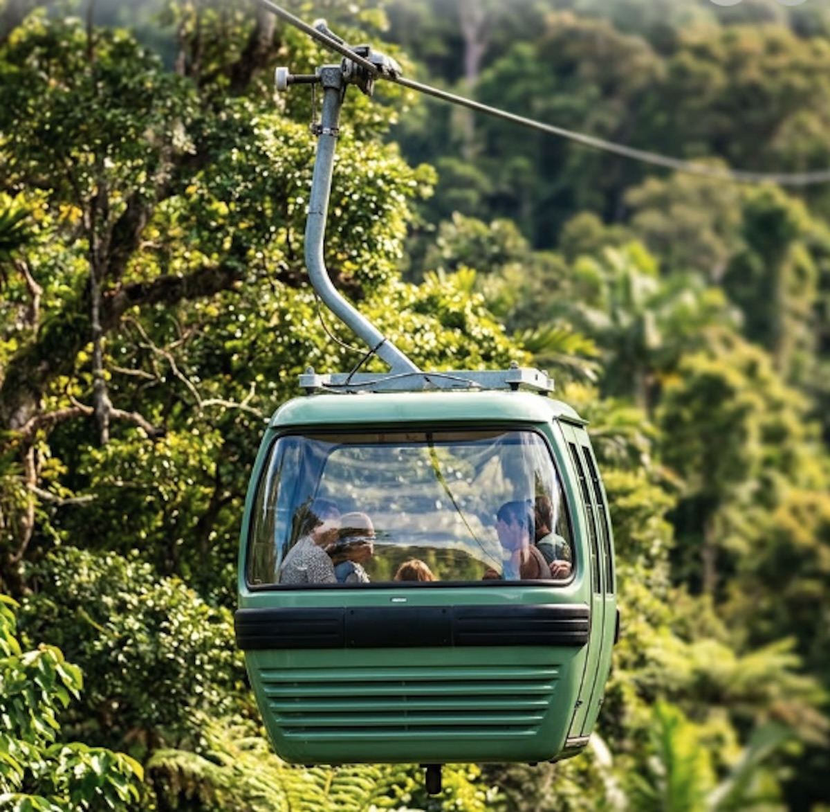 Skyrail Rainforest Cableway - Scenic Loop