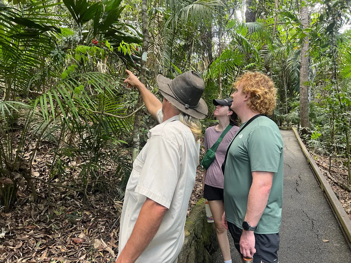 Kuranda Private Day Discovery Tour