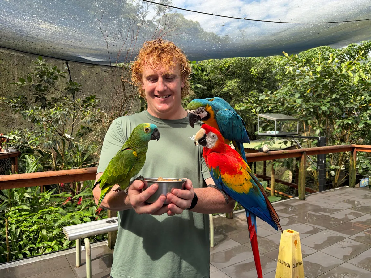 Kuranda Private Day Discovery Tour