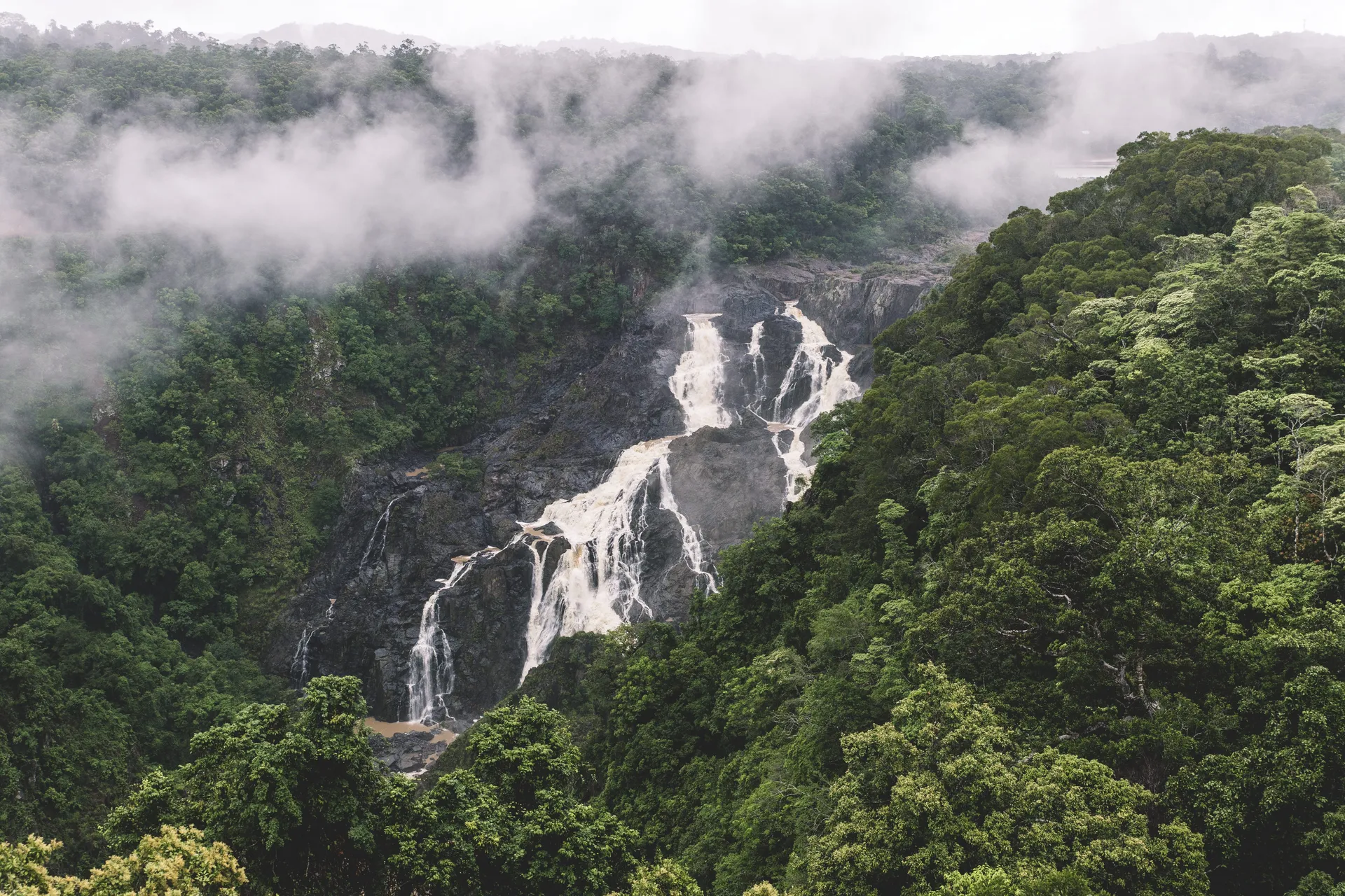 Kuranda Private Day Discovery Tour